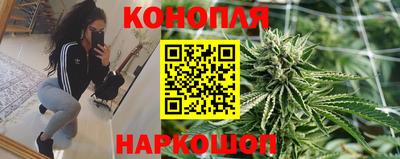 прущие грибы Заводоуковск