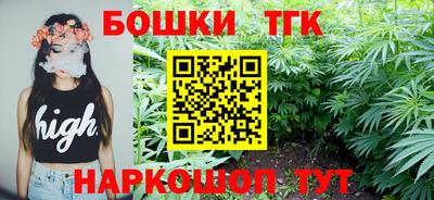 прущие грибы Заводоуковск