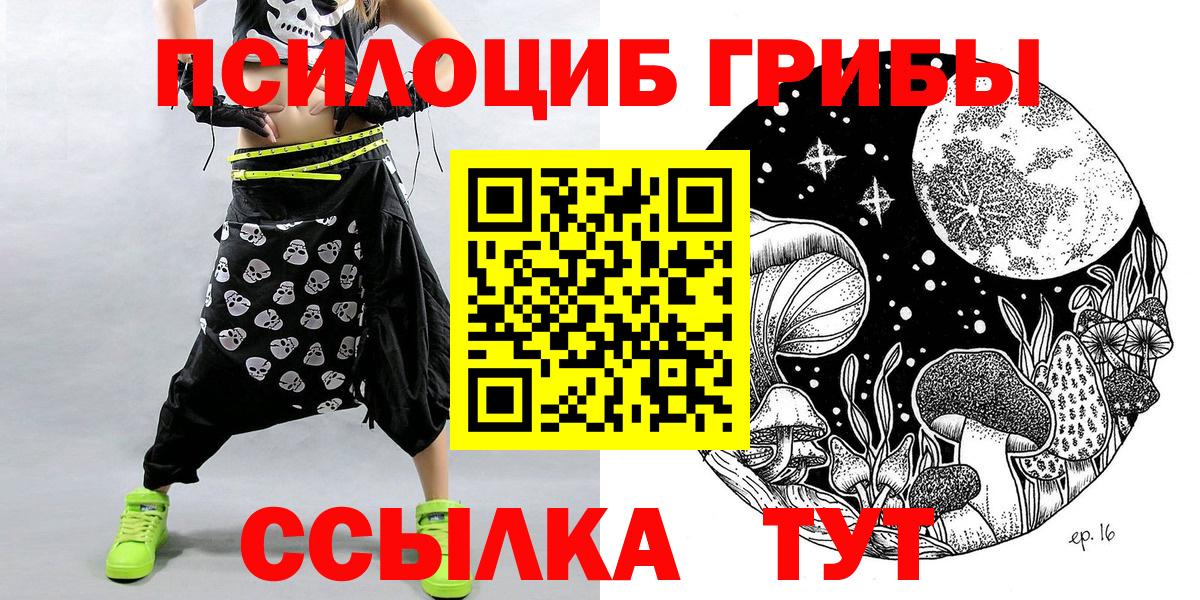 Ленинск-Кузнецкий  Псилоцибиновые грибы Psilocybine cubensis  Вход с VPN 